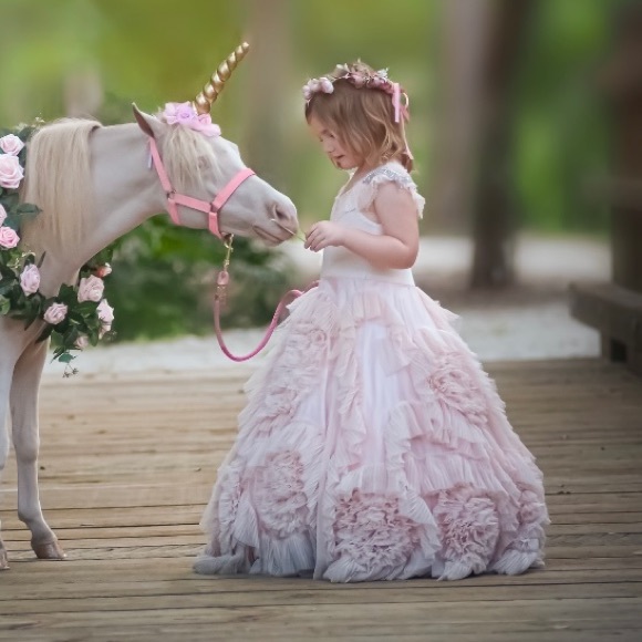 Dollcake best wishes dress